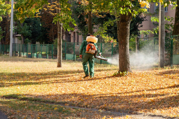 Best Pest Prevention Services  in Verona, VA